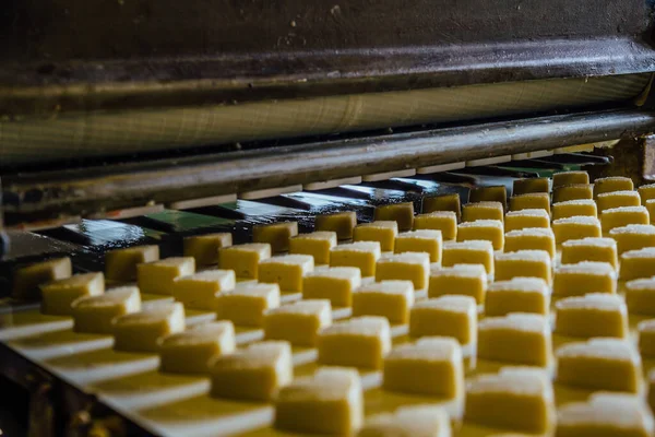 Linha de produção de panificação. Biscoitos crus não cozidos em forma de corações após a formação indo ao forno por transportador — Fotografia de Stock