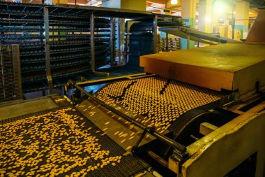 Küçük tuz kraker çerezleri otomatik üretim hattı. Fırın ve konveyör hattı makinesi