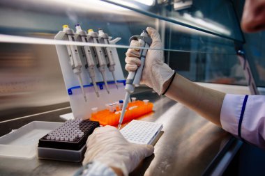 Bilimadamı elektroforez kullanımı için DNA örnekleri koyuyor.