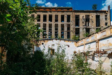 Bitkiler ve ağaçlarla kaplı terk edilmiş eski endüstriyel bina..