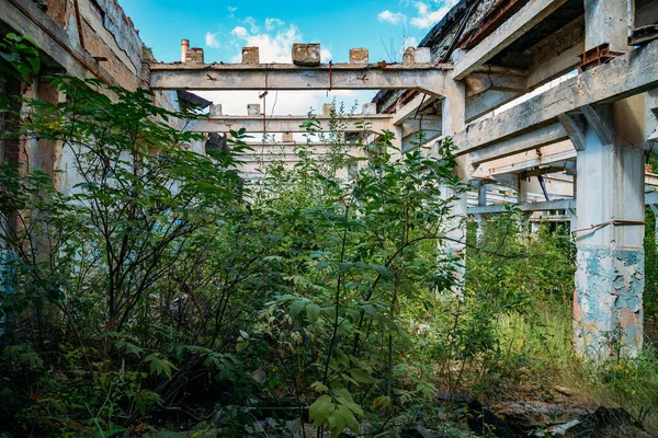 Edifício Industrial Abandonado Velho Arruinado Coberto Por Plantas Árvores — Fotografia de Stock