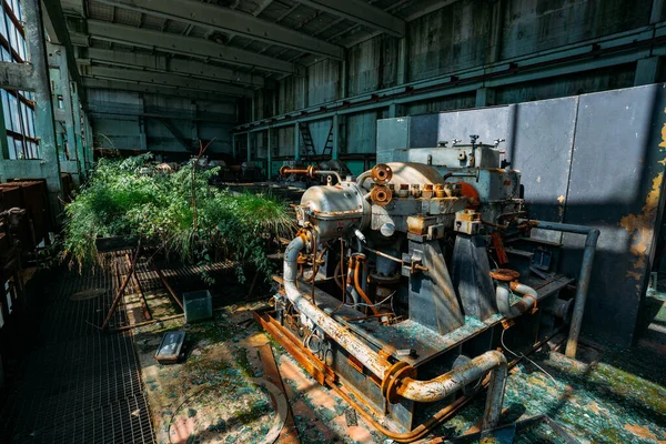 Velha Fábrica Abandonada Overgrown Com Restos Enferrujados Máquinas Industriais Oficina — Fotografia de Stock