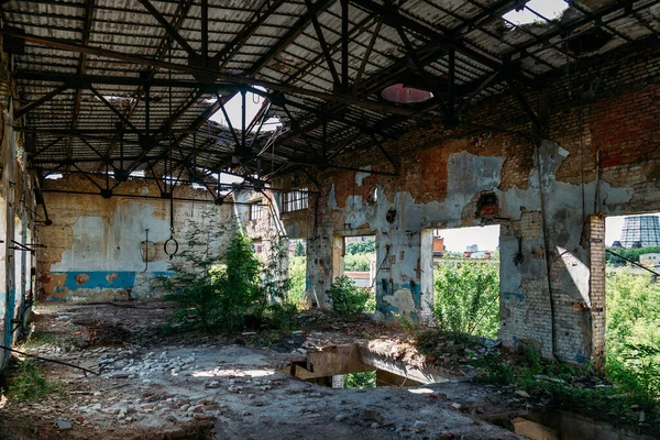 被植物和树木覆盖的废弃的废弃工业建筑 — 图库照片