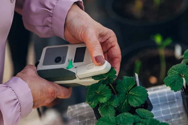 Modern portable device for measuring the chlorophyll and nitrogen content in plant leaves.