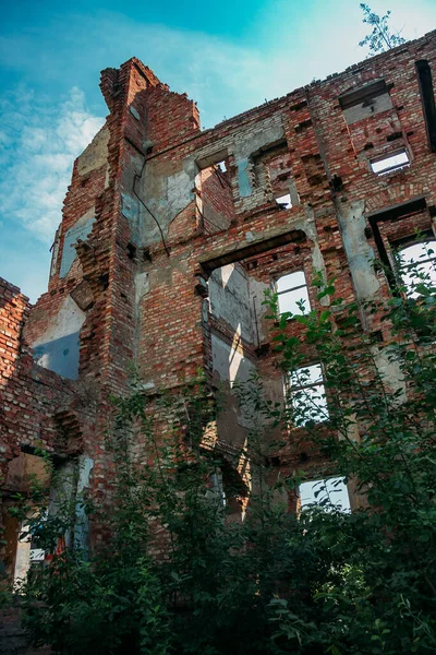 Coberta por plantas ruínas de mansão abandonada — Fotografia de Stock