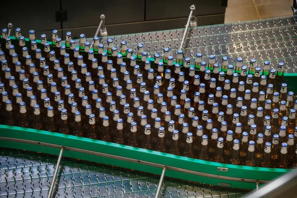 Moderna Linea Produzione Automatizzata Birra Bottiglie Birra Movimento Sul Trasportatore — Foto Stock