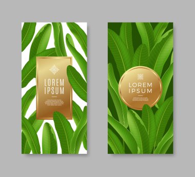 Tropikal afiş altın çerçeve metin veya ileti için bırakır. Vektör çizim.