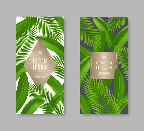 Tropical deixa banners com moldura para texto ou mensagem. Ilustração vetorial. Design para folheto, voucher, cupom ou brochura . —  Vetores de Stock