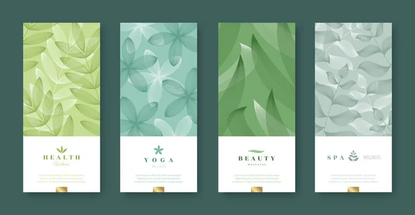 Leaves Nature Banner Set Beauty Health Minimal Design Voucher Template — Stock Vector