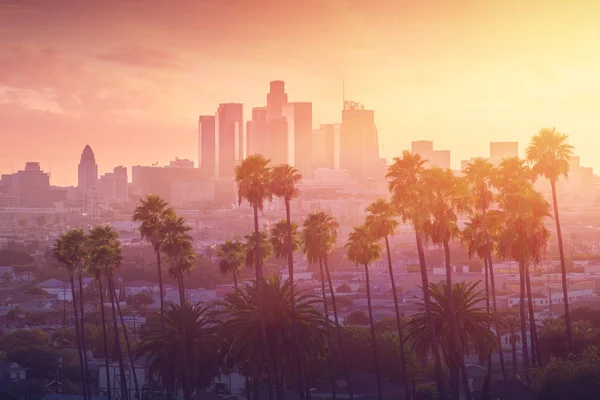 Los Ángeles vista al atardecer caliente con palmera y centro de la ciudad en el fondo. California, Estados Unidos . — Foto de Stock