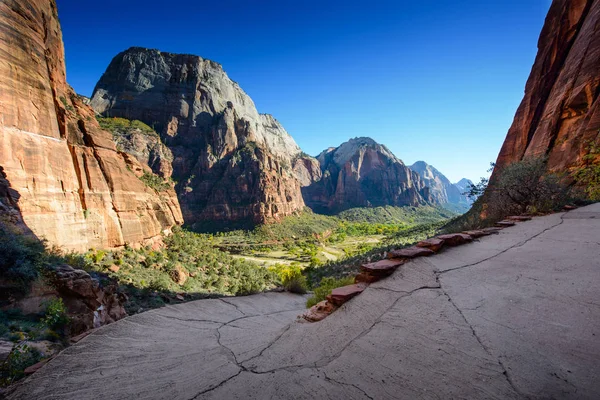 Stunning View Zion Canyon Landing Angels Path — Stockfoto