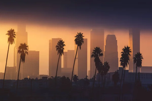 Centrala Los Angeles Skyline Dimmig Morgonsol Palm Träd Framför Skyskrapor Stockfoto