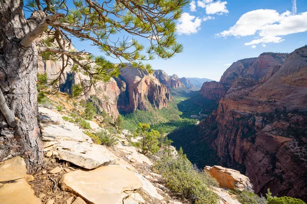Utah Taki Zion Doğal Parkı Yürüyüşçüler Için Güzel Bir Vadi — Stok fotoğraf