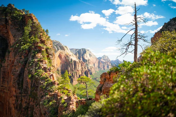 Zion Naturpark Utah Usa Schöne Aussicht Auf Tal Und Pfad Stockfoto