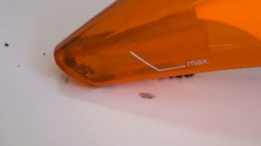 Şarjlı el süpürgesi