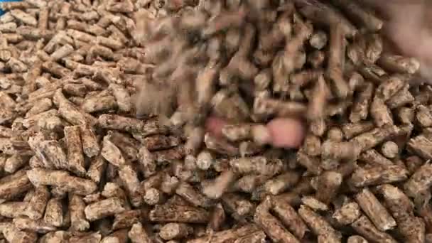 Montón de pellets de madera — Vídeos de Stock