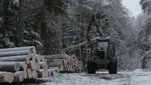 Трактор с погрузчиком Грэпл выгружает бревно в лесу — стоковое видео
