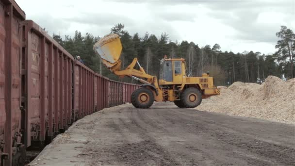 Wheel loader loads sawdust — Stock Video