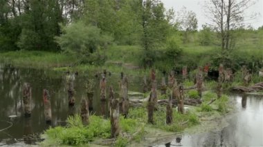 Eski köprü Nehri mahvetti.