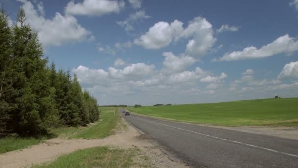 Auto's rijden langs het groene veld — Stockvideo