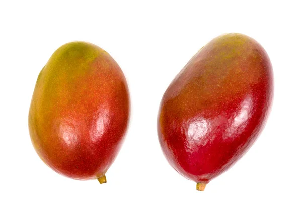 Mogen Mango Isolerad Vit Bakgrund — Stockfoto