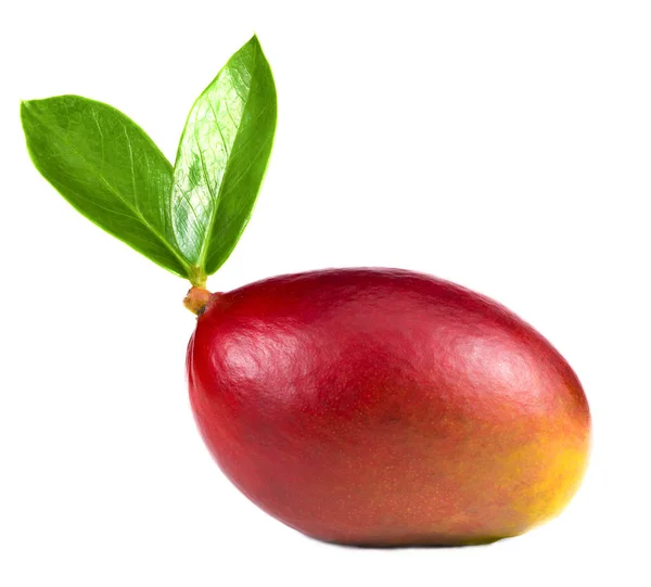 Mogen Mango Isolerad Vit Bakgrund — Stockfoto