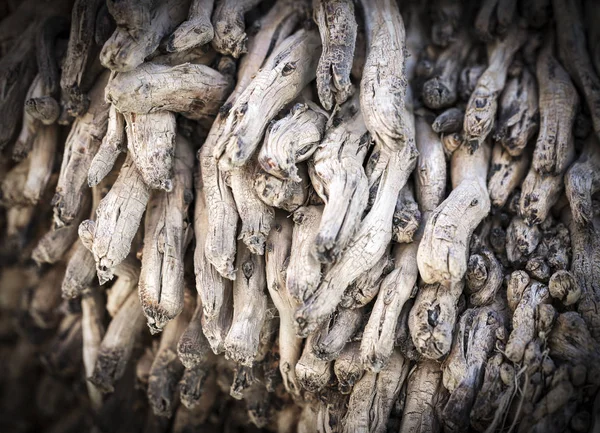 棕榈树的老根部图像 棕榈树纤维 — 图库照片