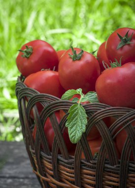 Tahta arka planda olgun domatesler