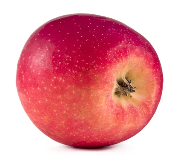 Une Pomme Rouge Sur Fond Blanc — Photo