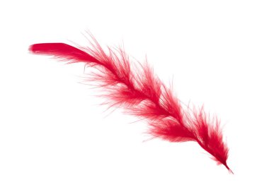 Beyaz arkaplanda kırmızı tüyler