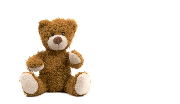 Urso Brinquedo Macio Fundo Branco — Fotografia de Stock