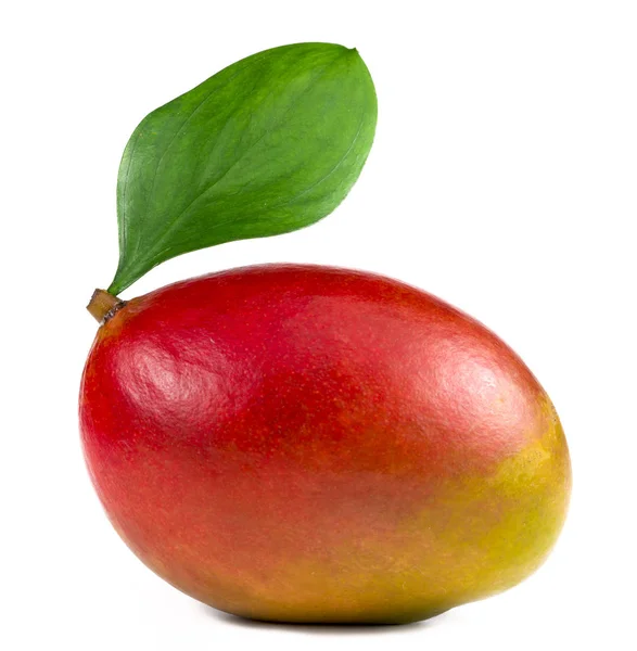 Smaklig Mango Med Bakgrund — Stockfoto