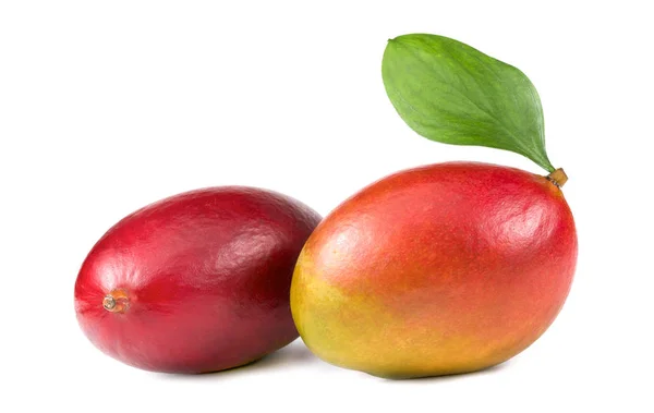 Tasty Mango Vit Bakgrund — Stockfoto