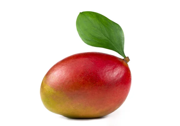 Tasty Mango Vit Bakgrund — Stockfoto