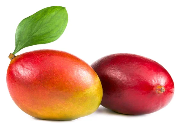 Tasty Mango Vit Bakgrund — Stockfoto