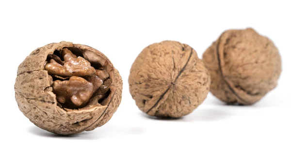 Nueces Aisladas Sobre Fondo Blanco — Foto de Stock