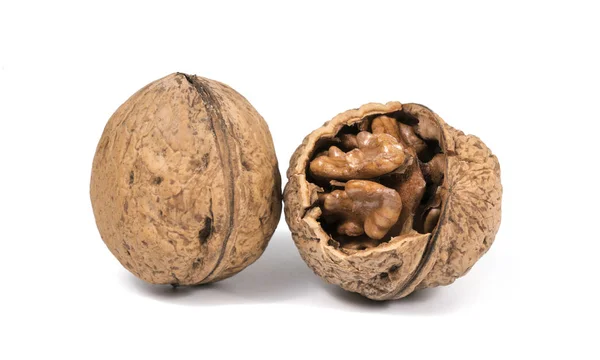 Nueces Aisladas Sobre Fondo Blanco — Foto de Stock