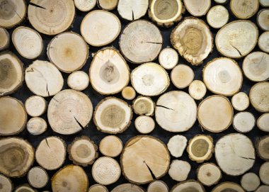 Ağaç kütükleri, ormanda yapısı yığını