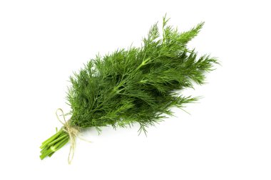 Beyaz arka planda bir sürü taze dereotu.