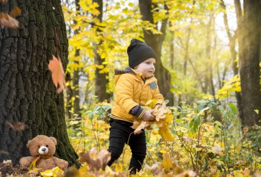 Sarı yaprakların arasında mutlu bir çocuk. Parkta düşen sonbahar yapraklarını toplar.