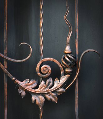 ayrıntıları yapısı ve Ferforje çit ve kapı süsleri