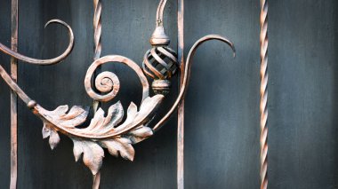 ayrıntıları yapısı ve Ferforje çit ve kapı süsleri