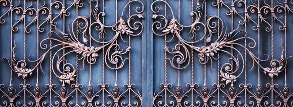 Forged gates and gate. Front of the house.