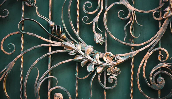構造および錬鉄の柵と門の装飾品の詳細 — ストック写真