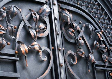 Bilgi, yapısı ve süs Ferforje çit kapısı ile