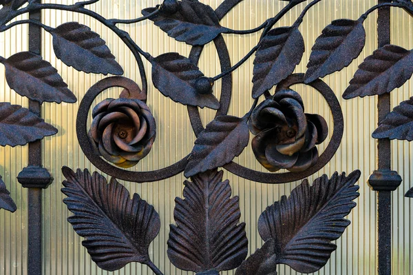 Details Structure Ornaments Forged Iron Gate Floral Decorative Ornament Made — Stock Photo, Image