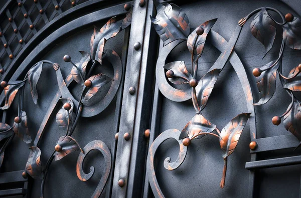 Detalles Estructura Ornamentos Valla Hierro Forjado Con Puerta —  Fotos de Stock