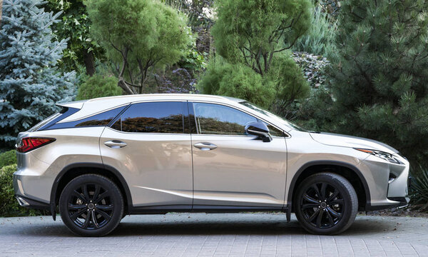 спортивный автомобиль в парке
