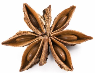 Beyaz arka planda yıldız anasonu izole edildi. Baharatlar makro.