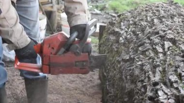 Elektrikli testere ile oduncu.